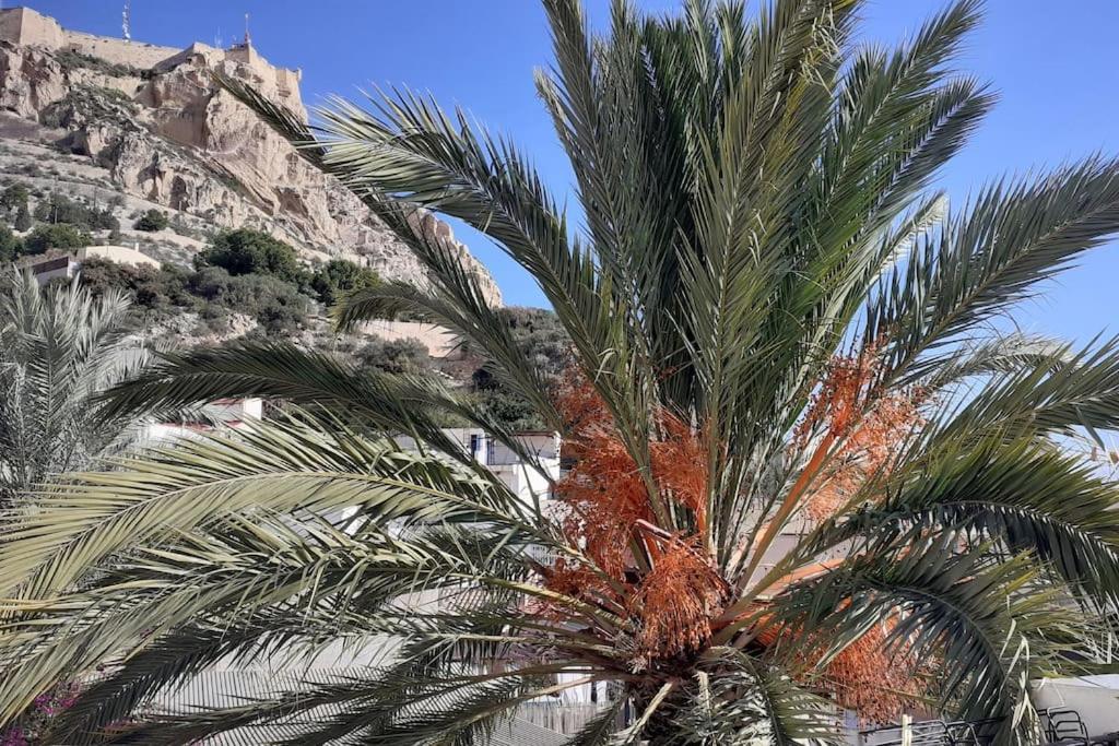 La Casita Azul Leilighet Alicante Eksteriør bilde