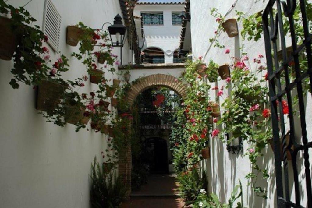 La Casita Azul Leilighet Alicante Eksteriør bilde